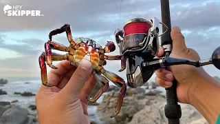 Hand-Catching the BEST BAIT EVER on the beach! SO MANY FISH!