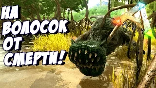 ARK: Survival Evolved - ЧУТЬ НЕ ЗАРЕЙДИЛ ЕГО! САМ ЧУТЬ НЕ СЛИЛСЯ! #20