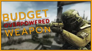 Best budget gun for ENTIRE wipe (cheap)