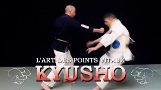 Kyusho Jitsu : l’art des points vitaux