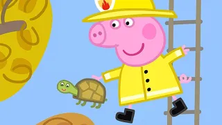 Rescuing Tiddles The Tortoise 🐢 | Peppa Pig Official Full Episodes