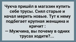 Чукча Пришел Купить Себе Трусы! Сборник Свежих Анекдотов! Юмор!