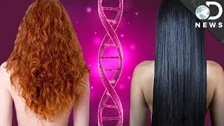Why Do We All Have Different Hair?