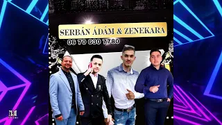 SERBÁN ÁDÁM 2023 X ELMEGYEK MILYEN ÚTON INDULOK MÉG NEM TUDOM (COVER)