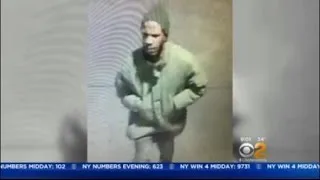 Subway Push Suspect Arrested