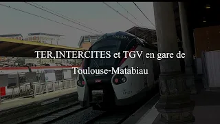 TER, INTERCITE et TGV en gare de Toulouse-Matabiau