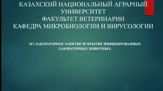 7 лаб занятие. Тема: Вскрытие инфицированных лабораторных животных.