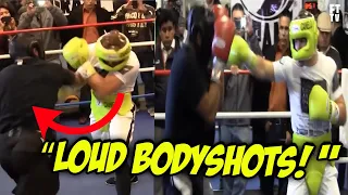 Canelo Alvarez vs Jermall Charlo Training **LOUD BODY SHOTS**