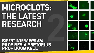 'Microclots' in Long Covid: The Latest Research | With Prof Resia Pretorius & Prof Doug Kell