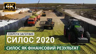 ЗАГОТОВКА СИЛОСА | СИЛОС 2021 | СЕКРЕТ УСПЕХА | ПРИБЫЛЬ | ЗАГОТОВКА КАЧЕСТВЕННОГО КОРМА КРС | TEKRO