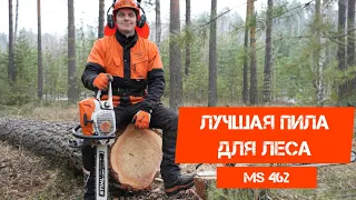 Лучшая пила для леса STIHL MS 462