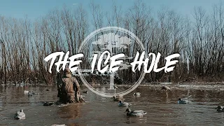 Duck Hunting- GIANT Groups of Teal in The ICE HOLE