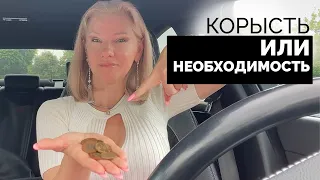 Корысть или необходимость? Я – корыстный человек? /Наталия Вайксельбаумер