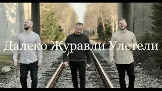 Далеко журавли улетели