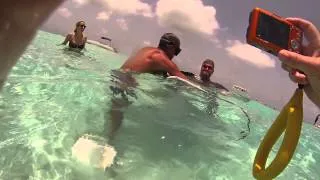 GoPro HD: Stingray Swim in the Cayman Islands