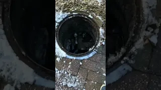 DRAIN BLOCKED WITH POOP & TAMPONS #Shorts