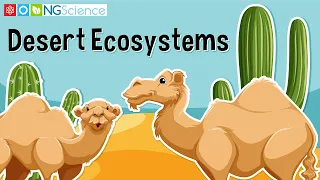 Desert Ecosystems