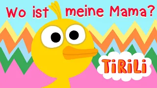 Kinderlied Küken 🐣 | Wo ist meine Mama ? | TiRiLi - Kinderlieder