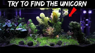 FINDING THE UNICORN in my MYTHICAL AQUARIUM