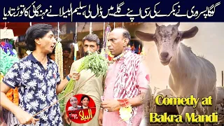 At Bakra Mandi Saleem Albela and Goga Pasroori in action funny video