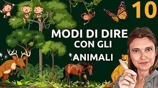 10 MODI DI DIRE ITALIANI CON GLI ANIMALI - Italian Animal IDIOMS! 🐶🐱🐟