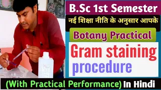 Gram Staining || Gram Staining Procedure in Hindi || Gram Staining Techniques||BSc Botany Practical