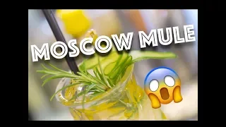 BEST MOSCOW MULE RECIPE! (VERY EASY TO MAKE)