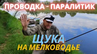 Как ловить щуку спиннингом на мелководье. Проводка паралитик. Рыбалка на спиннинг. Ловим щуку.