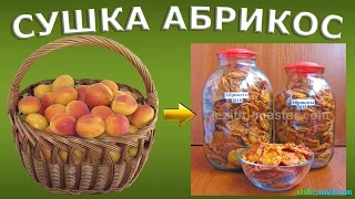 Сушка абрикос – 10 кг. Как сделать курагу в домашних условиях?