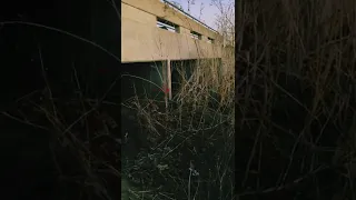 Humanoid Creature caught on camera under bridge in north Dallas