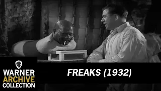 Need A Light | Freaks | Warner Archive