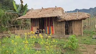 Poor boy - Harvesting eggplants to sell at the market | The orphan boy was alone