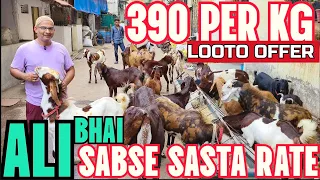 390 😱Per KG😲Sabse Sasta Rate Dunga Chanas Me Loot Lo Aur Qurbani Karo || Ali Bhai Bhiwandi Mumbai ||