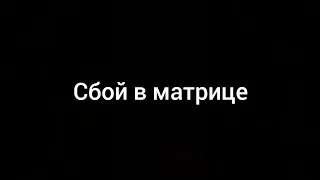 Сбой  в матрице. Животные ведут себя странно!