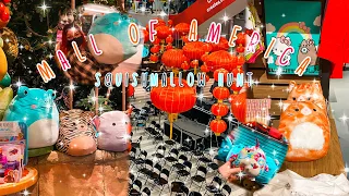 Squishmallow Hunting at the Mall of America!