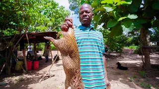 Unique Food in African Jungle!! EXOTIC DELICACY in Ivory Coast! 🇨🇮