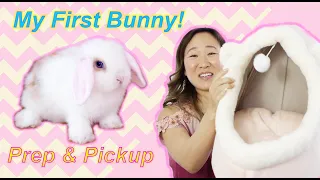 Prep & Pick up for my FIRST bunny ever!  Why I got a bunny / Peekaboo the Lop