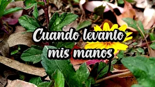 LEVANTO MIS MANOS - PISTA