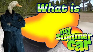 What is My Summer Car?