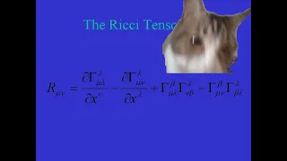 CAT REACTS TO RICCI TENSOR FOR THE FIRST TIME!! | Tensor Calculus 24: Ricci Tensor Geometric Meaning