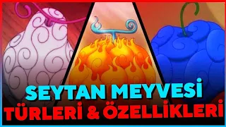 Şeytan Meyve Türleri ve Özellikleri /One Piece