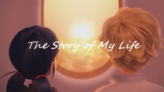 The Story of My Life ~ Miraculous AMV