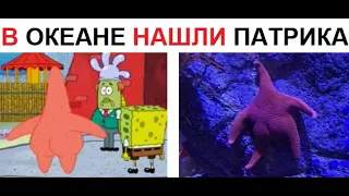 Лютые приколы. Нашли ПАТРИКА