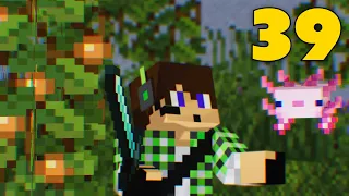 Minecraft ITA S6 E39