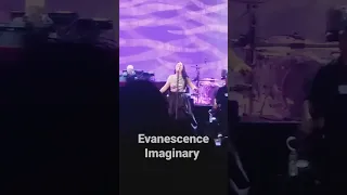 Evanescence Imaginary #2017