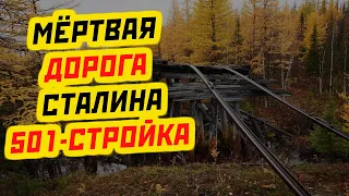 МЕРТВАЯ ДОРОГА СТАЛИНА