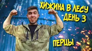 СТРОЮ ХИЖИНУ. ДЕНЬ 3. ФАРШИРОВАННЫЕ ПЕРЦЫ. ПОХОД В ЛЕС. SOLO BUSHCRAFT CAMP.