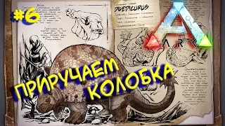 Ark survival evolved (Приручаем колобка) #6