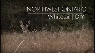 Ontario Whitetail Hunt || DIY || Public Land Deer Hunting