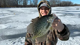 Catching TROPHY CRAPPIES From a Spearing Hole!